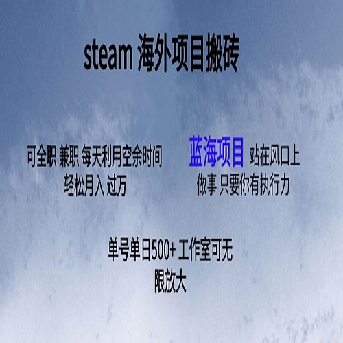 最新项目steam搬砖，单号日入500+下载