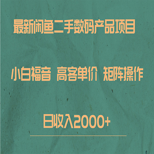 最新闲鱼二手数码赛道，小白福音，高客单价，矩阵操作，日收入2000+下载