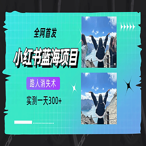 全网首发，小红书蓝海项目，路人消失术，实测一天300+（教程+工具）下载