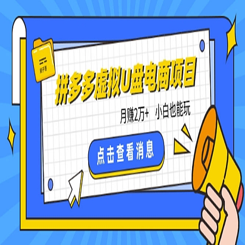 拼多多虚拟U盘电商红利项目：月赚2万+，新手小白也能玩下载