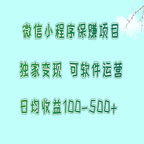 微信小程序保赚项目，日均收益100~500+，独家变现，可软件运营下载