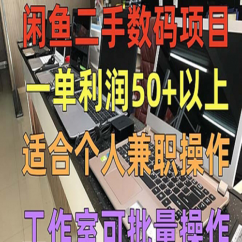 闲鱼二手数码项目，个人副业低保收入一单50+