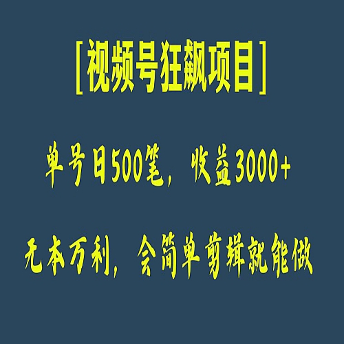 日收款500笔，纯利润3000+，视频号狂飙项目！下载