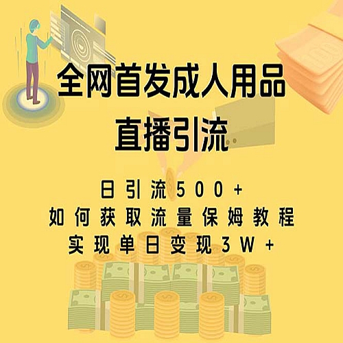 最新全网独创首发，成人用品直播引流获客暴力玩法，单日变现3w保姆级教程下载