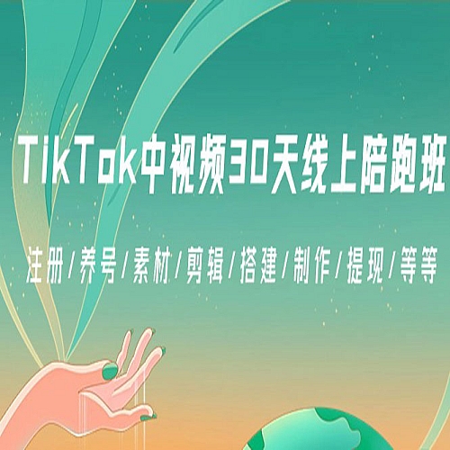 TikTok中视频-30天线上陪跑班：注册/养号/素材/剪辑/搭建/制作/提现/等下载
