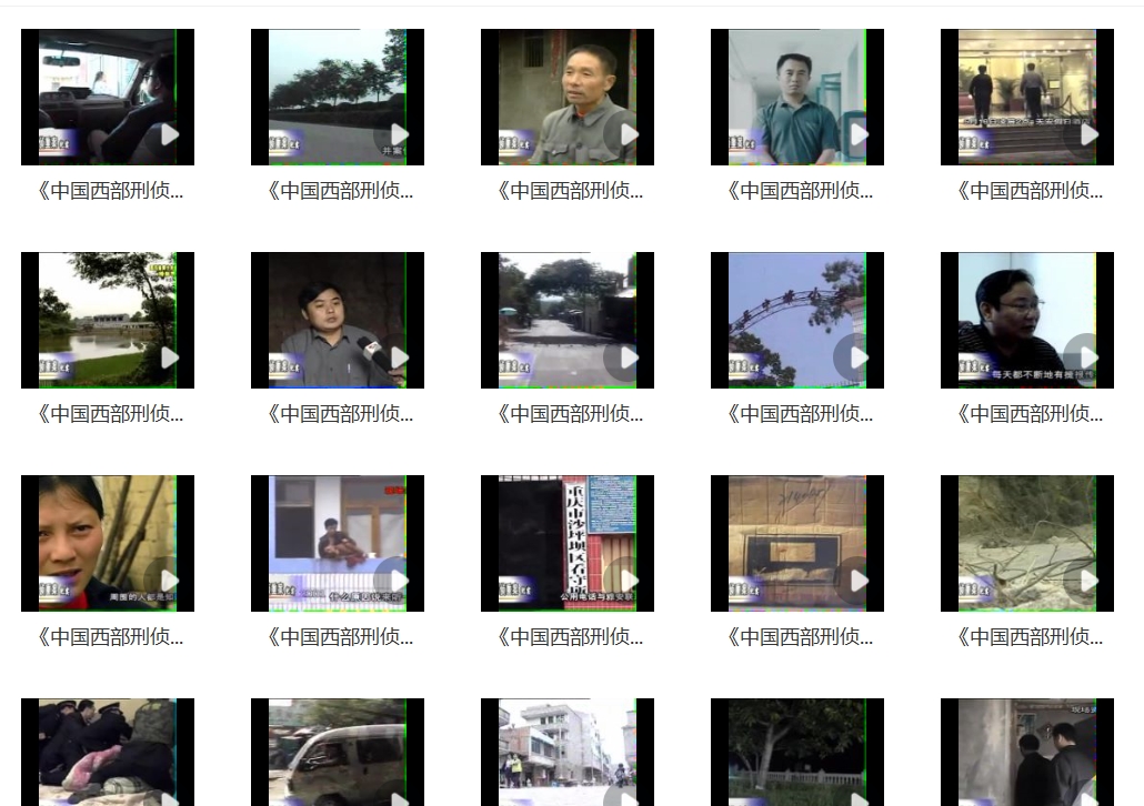 大案纪实中国西部案件刑侦破案纪录片抖音短视频虚拟素材网盘发货