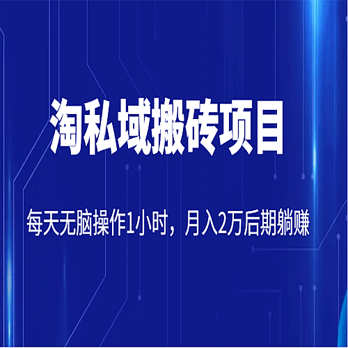淘私域搬砖项目，利用信息差月入5W，每天无脑操作1小时，后期躺赚下载