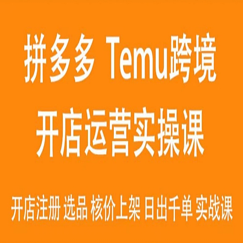 2024Temu最新玩法，Temu跨境开店运营实操课，开店注册/选品/核价上架/日出千单实战课下载