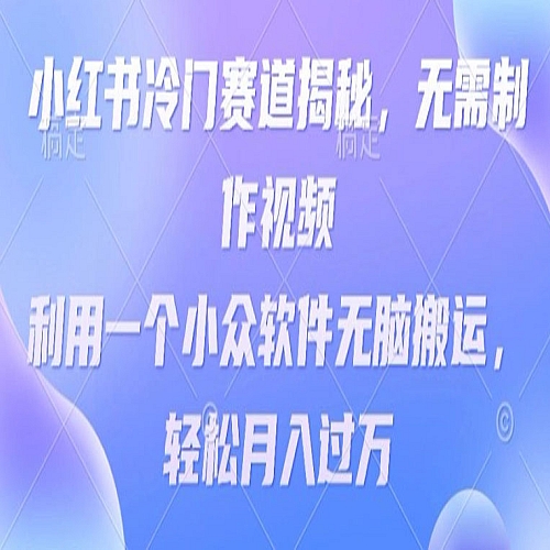 小红书冷门赛道揭秘，无需制作视频，利用一个小众软件无脑搬运，轻松月入过万下载