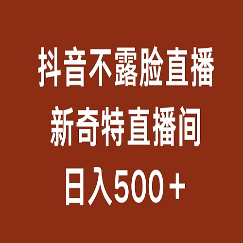 不露脸挂机直播，新奇特直播间，日入500+下载