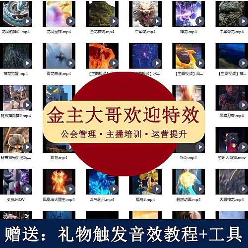 2200+款直播特效大哥大姐出场排面视频感谢欢迎直播超清素材特效下载