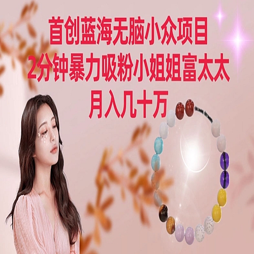 首创蓝海无脑小众项目，2分钟暴力吸粉小姐姐富太太，月入几十万下载