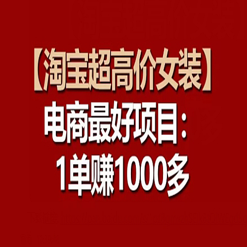 【淘宝超高价女装】电商最好项目：每一单都是高利润下载