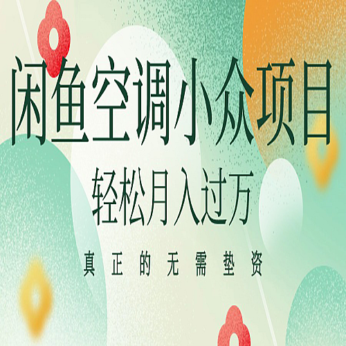 闲鱼卖空调小众项目 轻松月入过万 真正的无需垫资金下载