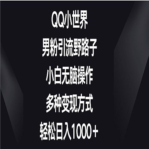 QQ小世界男粉引流野路子，小白无脑操作，多种变现方式轻松日入1000＋下载