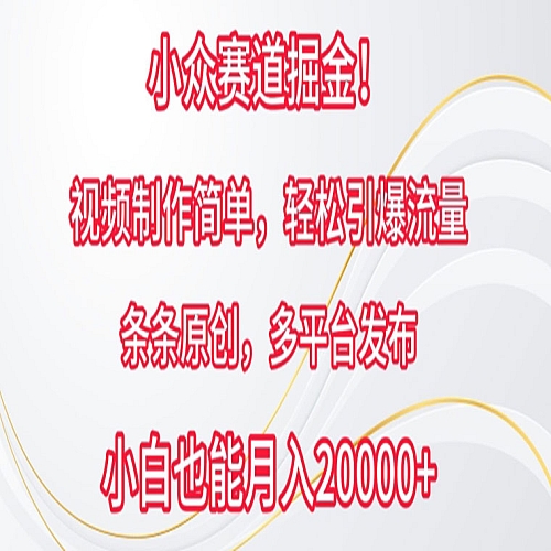 小众赛道掘金，视频制作简单，轻松引爆流量，条条原创，多平台发布下载