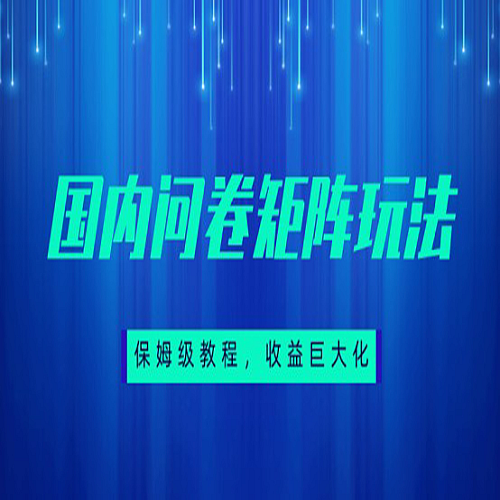 保姆级教程，国内问卷矩阵玩法，轻松赚收益下载