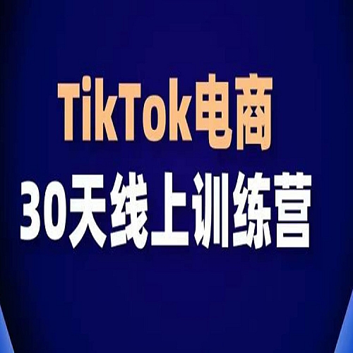 TikTok电商带货30天线上课，不可错过的全球流量洼地！下载