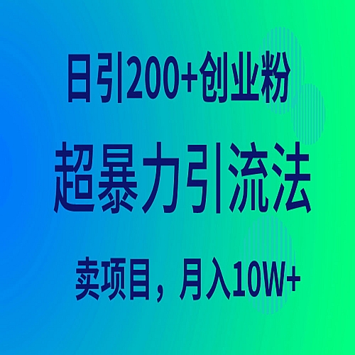 超暴力引流法，日引200+创业粉，卖项目月入10W+下载