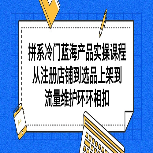 拼系冷门蓝海产品实操课程，从注册店铺到选品上架到流量维护环环相扣下载