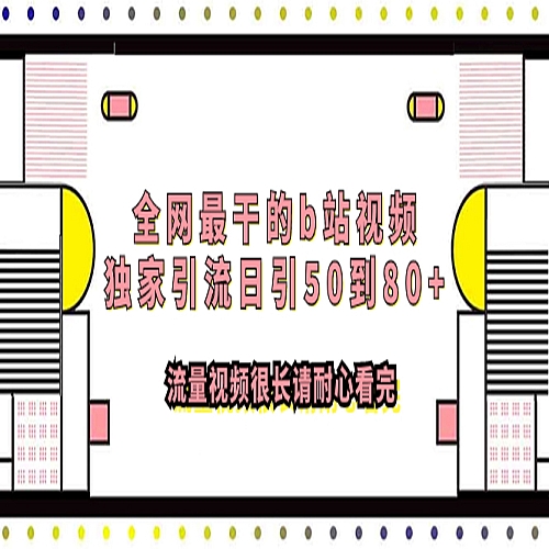 全网最干的b站视频独家引流日引50到80+下载