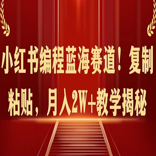 小红书编程蓝海赛道!复制粘贴，月入2W+教学揭秘下载