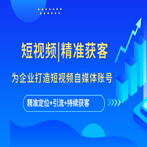 精准获客 为企业打造短视频自媒体账号 (精准定位+引流+持续获客)下载