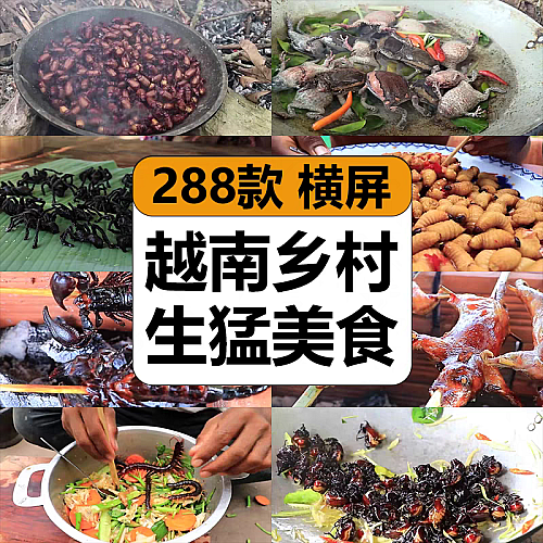越南乡村生猛美食农田间烧烤奇葩食物猎奇搞怪高清中视频解说素材下载