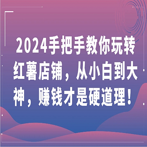 2024手把手教你玩转红薯店铺，从小白到大神，赚钱才是硬道理！下载