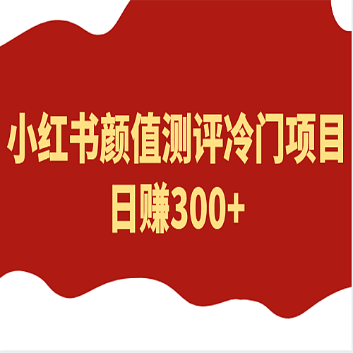 外面4980的项目，小红书颜值测评冷门项目，日赚300+下载