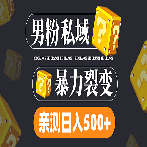 男粉项目，一个作品变现1000+，新渠道新玩法，一部手机实现月入过万下载