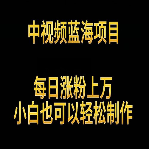 中视频蓝海项目，解读英雄人物生平，每日涨粉上万，小白也可以轻松制作下载