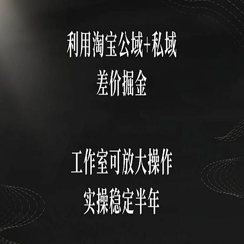 利用淘宝公域+私域差价掘金，工作室可放大操作，实操稳定半年【揭秘】下载
