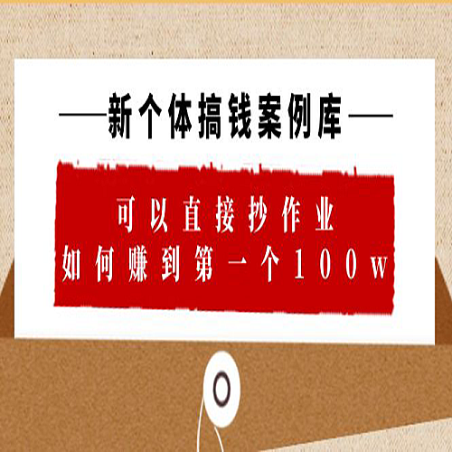 新个体 搞钱案例库，可以直接抄作业 如何赚到第一个100w（29节视频+文档）下载