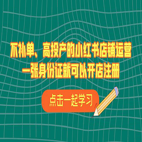 不补单、高投产的小红书店铺运营，一个人也玩的起下载