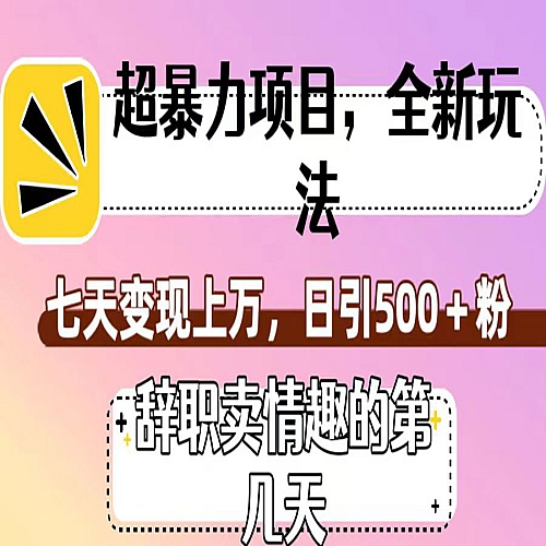 超暴利项目，全新玩法（辞职卖情趣的第几天），七天变现上万，日引500+粉下载