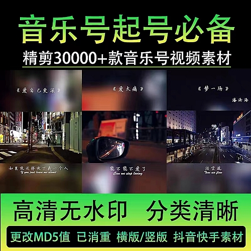 音乐号情感伤感DJ夜店抖音起号开车流泪热舞高清自媒体短视频素材下载