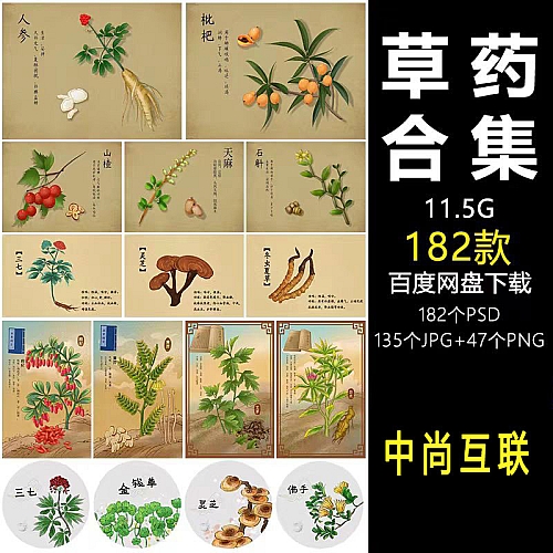 中国风复古记载中草药材植物花卉工笔画手绘本草插画素材图片下载