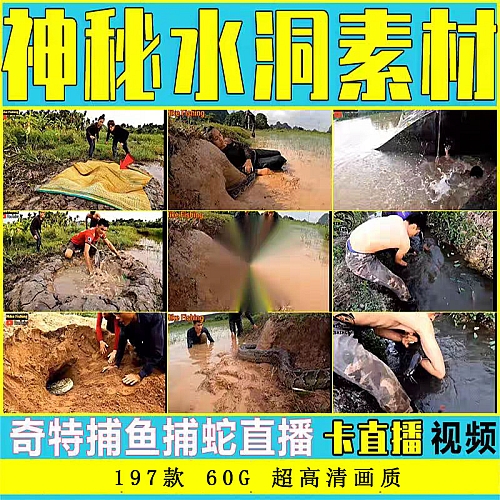 抖音直播卡广场神秘水洞捕鱼捕蛇半无人直播拉停留新奇特视频素材下载