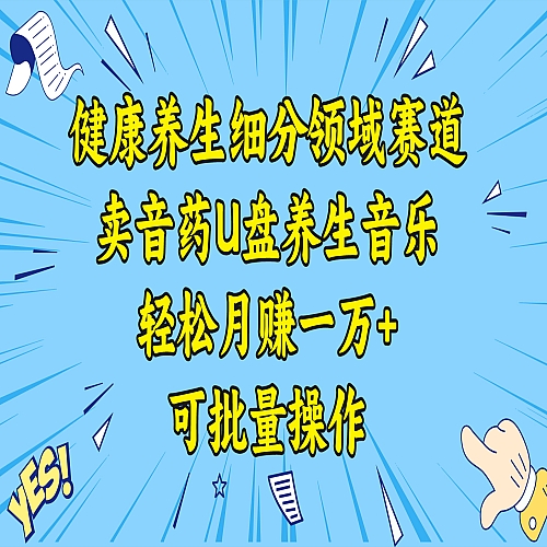 健康养生细分领域赛道，卖音药U盘养生音乐，轻松月赚一万+，可批量操作下载