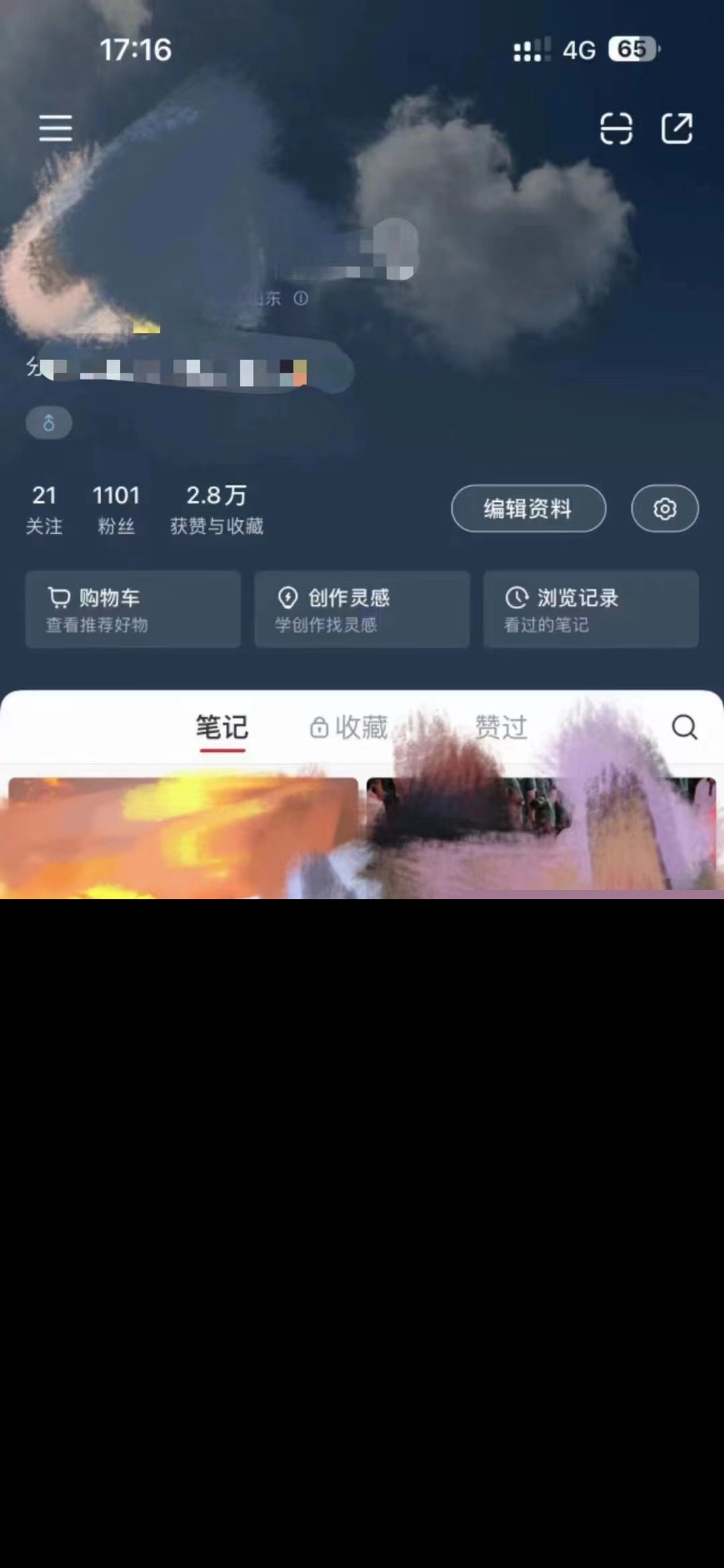 231833jpzppcvappacvkmv