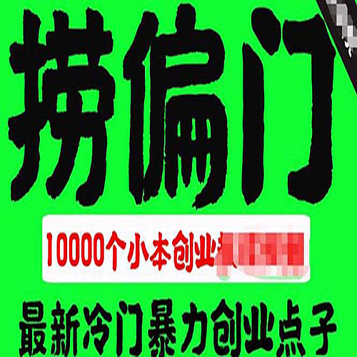 千款捞偏门小本创业小项目，总有一款适合你下载