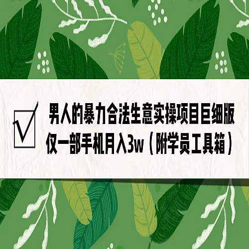 男人的暴力合法生意实操项目巨细版：仅一部手机月入3w（附赠学员工具箱）下载
