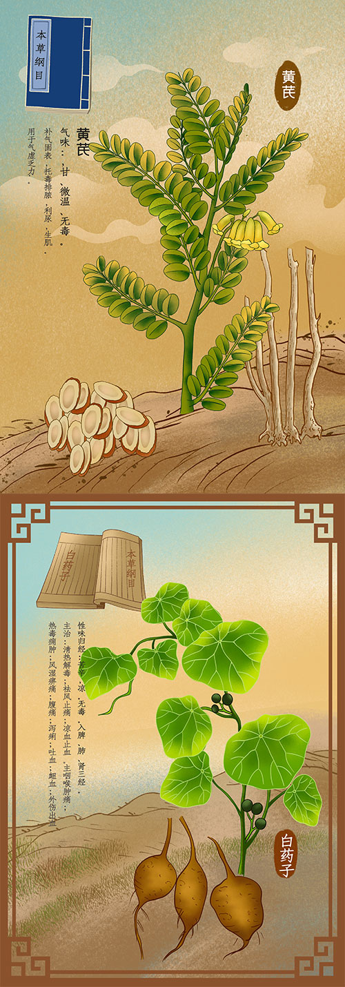 中国风复古记载中草药材植物花卉工笔画手绘本草插画素材图片