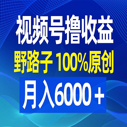 视频号野路子撸收益，100%原创，条条爆款，月入6000＋下载