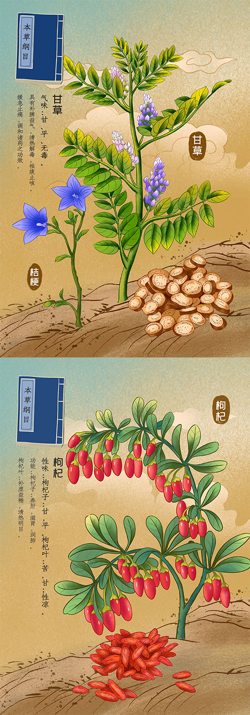 中国风复古记载中草药材植物花卉工笔画手绘本草插画素材图片