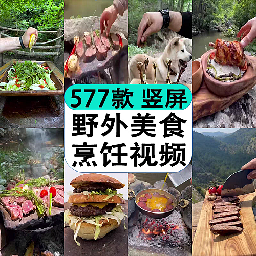 国外荒野户外煮饭做菜吃美食烹饪制作解压高清短视频小说推文素材下载