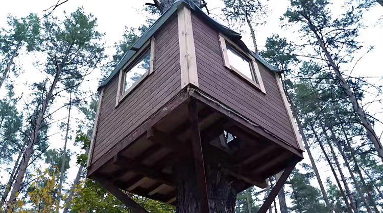 国外建造庇护屋极寒露营野餐荒野生存中视频计划解说高清剪辑素材