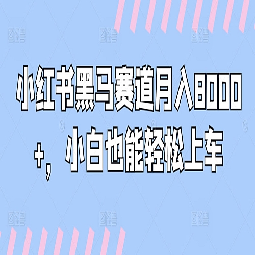 小红书黑马赛道月入8000+，小白也能轻松上车下载