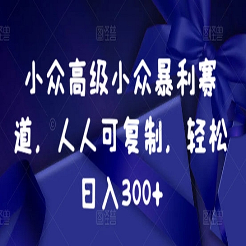 小众暴利赛道，人人可复制，轻松日入300+下载